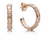 Pandora Earring Regal Beauty Hoop Rose Jewelry Pandora Earring Regal Beauty Hoop Rose Jewelry