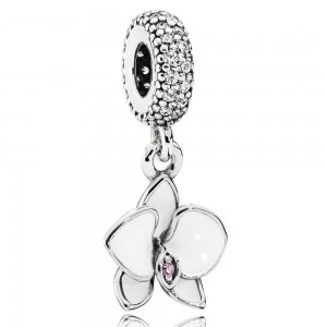 Pandora Bracelet Elegant Orchid Floral Complete Leather Jewelry