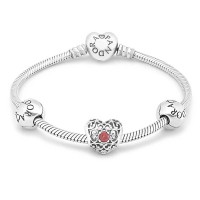 Pandora Bracelet January Birthstone Birthstone Complete Jewelry Pandora Bracelet January Birthstone Birthstone Complete Jewelry