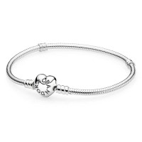 Pandora Bracelet Oriental Orchid Floral Complete Clear CZ Jewelry Pandora Bracelet Oriental Orchid Floral Complete Clear CZ Jewelry