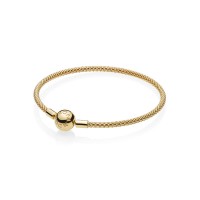 Pandora Bracelet Shine Mesh Jewelry Pandora Bracelet Shine Mesh Jewelry