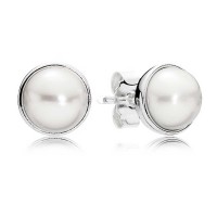 Pandora Earring Elegant Beauty Stud Jewelry Pandora Earring Elegant Beauty Stud Jewelry