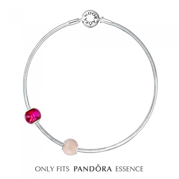 Pandora Bracelet Amour Love Complete Sterling Silver Jewelry