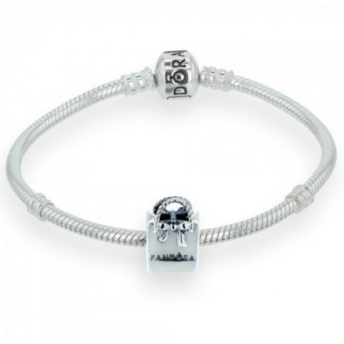 Pandora Bracelet Bag Fashion Complete Jewelry