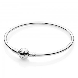 Pandora Bracelet Bangle Jewelry