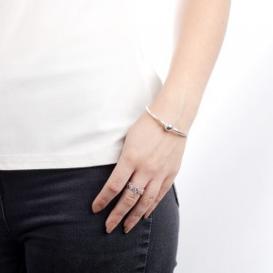 Pandora Bracelet Bangle Jewelry