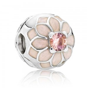 Pandora Bracelet Blooming Dahlia Floral Complete Cubic Zirconia Jewelry