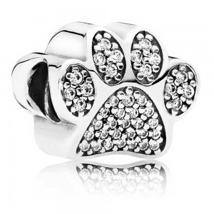 Pandora Bracelet Curious Cat Complete Animal Jewelry