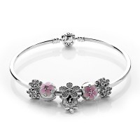 Pandora Bracelet Dazzling Daisy Floral Complete Bangle Silver Jewelry Pandora Bracelet Dazzling Daisy Floral Complete Bangle Silver Jewelry
