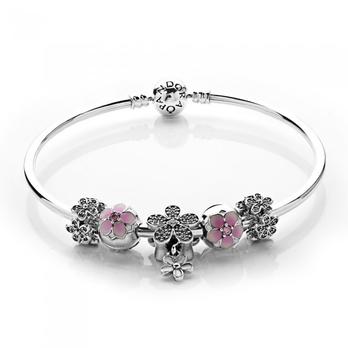 Pandora Bracelet Dazzling Daisy Floral Complete Bangle Silver Jewelry