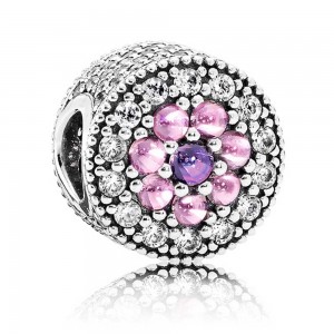 Pandora Bracelet Dazzling Floral Floral Complete Cubic Zirconia Jewelry