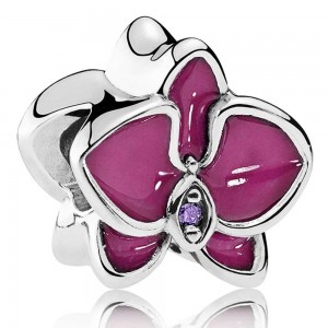 Pandora Bracelet Elegant Orchid Floral Complete Jewelry