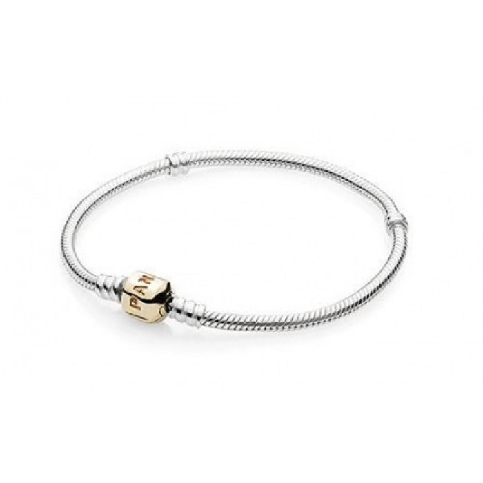 Pandora Bracelet Silver And Gold Jewelry