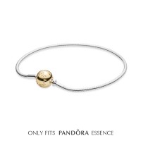 Pandora Bracelet Two Tone Jewelry Pandora Bracelet Two Tone Jewelry