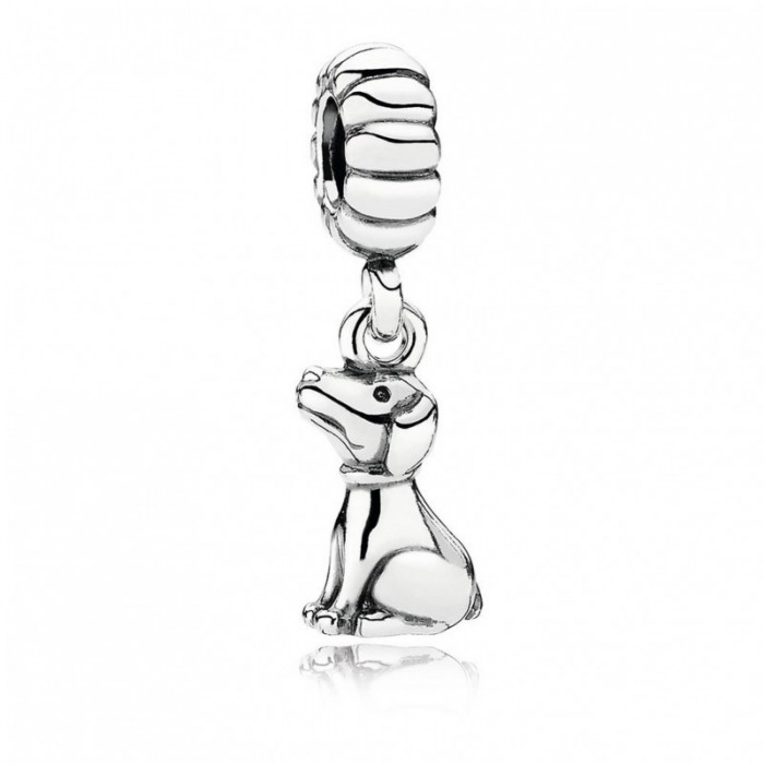 Pandora Charm Buddy Jewelry