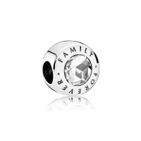 Pandora Charm Family Forever Clear CZ Jewelry Pandora Charm Family Forever Clear CZ Jewelry