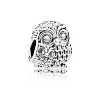 Pandora Charm ing Owls Jewelry Pandora Charm ing Owls Jewelry