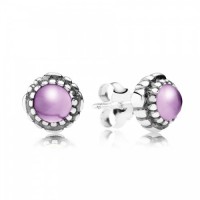 Pandora Earring February Birthstone Amethyst Stud Jewelry Pandora Earring February Birthstone Amethyst Stud Jewelry