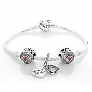 Pandora Bracelet Beloved Moments Complete Jewelry