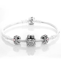 Pandora Bracelet Dear Mother Family Complete Silver Jewelry Pandora Bracelet Dear Mother Family Complete Silver Jewelry