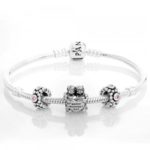 Pandora Bracelet Dear Mother Family Complete Silver Jewelry