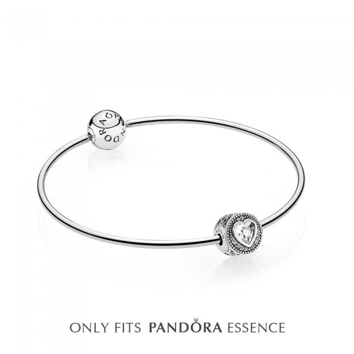 Pandora Bracelet Silver Passion Bangle Love Complete Jewelry