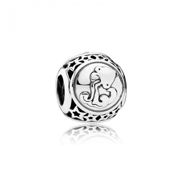 Pandora Charm Aquarius Star Sign Jewelry