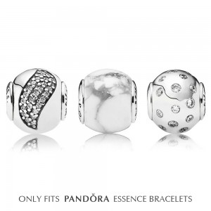 Pandora Charm Euphoria Sterling Silver Jewelry