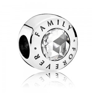 Pandora Charm Forever Family Silver Jewelry