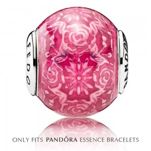 Pandora Charm Freedom And Compassion Jewelry