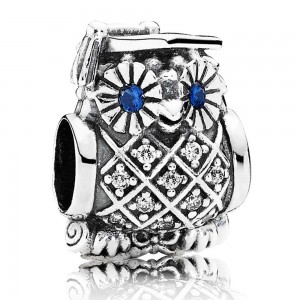 Pandora Charm Owl Of Wisdom Celebration Pave CZ Jewelry