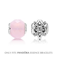 Pandora Charm Silver Friendship CZ Jewelry Pandora Charm Silver Friendship CZ Jewelry