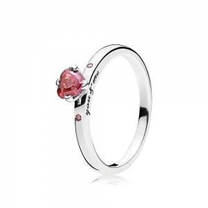 Pandora Ring You Me Multi Colored CZ 196574czrmx Jewelry